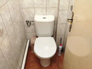 Pronájem bytu, Mirošovice, Hlavní, 15 m2