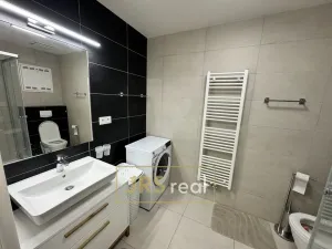 Pronájem bytu 1+kk, Brno, 45 m2