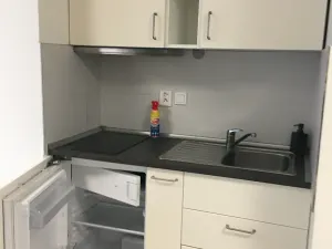 Pronájem bytu 1+kk, Brno, Křenová, 25 m2