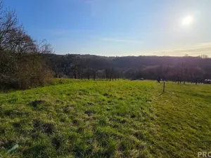 Prodej zahrady, Vyškov, 330 m2