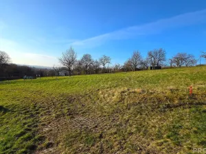 Prodej zahrady, Vyškov, 330 m2