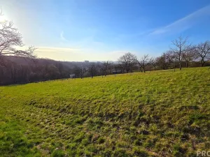 Prodej zahrady, Vyškov, 330 m2