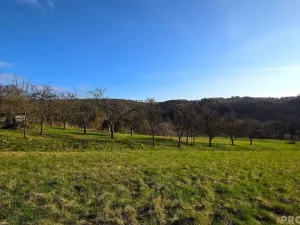 Prodej zahrady, Vyškov, 558 m2