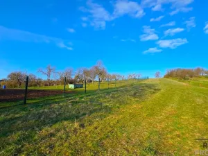Prodej zahrady, Vyškov, 558 m2