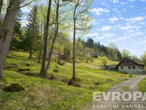 Prodej chalupy, Desná - Desná I, Výletní, 110 m2