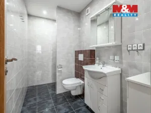 Prodej rodinného domu, Neustupov, 450 m2