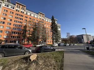 Prodej bytu 2+kk, Praha - Střížkov, Teplická, 42 m2