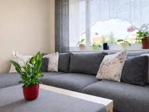 Prodej bytu 3+1, Chomutov, Kostnická, 64 m2