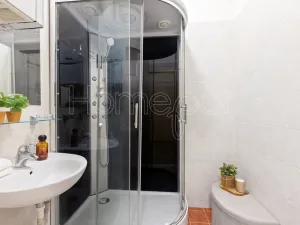 Prodej bytu 1+1, Praha - Holešovice, Jirečkova, 53 m2