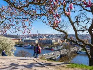 Prodej bytu 1+1, Praha - Holešovice, Jirečkova, 53 m2