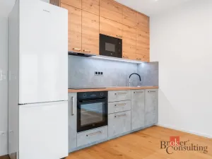 Pronájem bytu 1+kk, Brno - Zábrdovice, Bratislavská, 36 m2