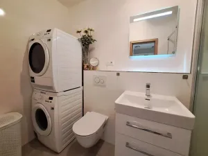 Prodej bytu 2+kk, Všemina, 46 m2