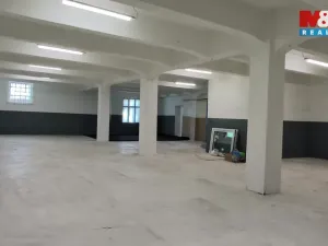 Pronájem výrobních prostor, Orlová - Poruba, Nádražní, 821 m2