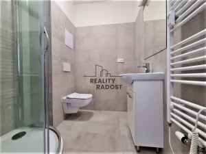 Pronájem bytu 1+kk, Brno, Mathonova, 22 m2