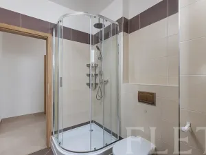 Pronájem bytu 1+kk, Praha - Kamýk, Freiwaldova, 43 m2
