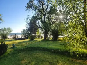 Prodej pozemku pro bydlení, Albrechtice nad Vltavou, 800 m2