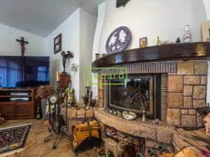 Prodej rodinného domu, Braškov, Akátová, 446 m2