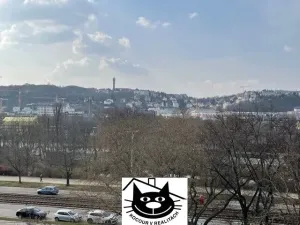 Pronájem bytu 2+kk, Praha - Podolí, Podolská, 62 m2