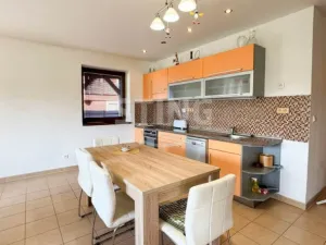 Pronájem rodinného domu, Albrechtice, Bělehradská, 217 m2