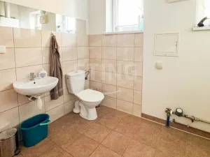 Pronájem rodinného domu, Albrechtice, Bělehradská, 217 m2