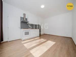 Pronájem bytu 1+kk, Ostrava, Francouzská, 21 m2