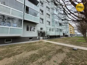 Pronájem bytu 1+kk, Ostrava, Francouzská, 24 m2