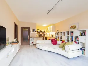 Prodej bytu 2+kk, Praha - Žižkov, U staré cihelny, 61 m2