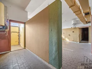 Prodej restaurace, Řečany nad Labem, 1. máje, 320 m2