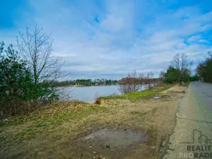 Pronájem rybníku, Přelouč - Mělice, 216 m2