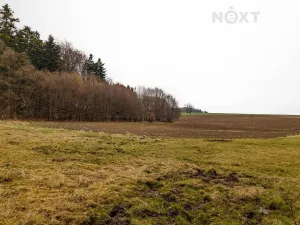 Prodej louky, Niva, 7301 m2
