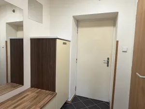 Pronájem bytu 1+1, Plzeň - Východní Předměstí, Kyjevská, 30 m2