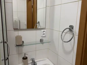 Pronájem bytu 1+1, Plzeň - Východní Předměstí, Kyjevská, 30 m2