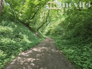 Prodej chaty, Benátky nad Jizerou, 24 m2