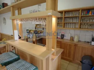 Prodej rodinného domu, Chlum u Třeboně, 475 m2