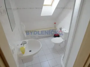 Prodej rodinného domu, Chlum u Třeboně, 475 m2