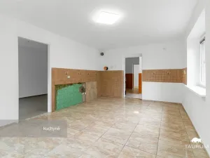 Prodej rodinného domu, Nečtiny - Čestětín, 719 m2