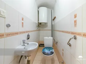 Prodej rodinného domu, Nečtiny - Čestětín, 719 m2