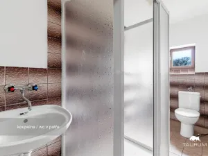 Prodej rodinného domu, Nečtiny - Čestětín, 719 m2