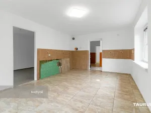 Prodej rodinného domu, Nečtiny - Čestětín, 719 m2