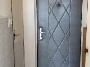 Prodej bytu 1+1, Plzeň - Severní Předměstí, Sokolovská, 39 m2