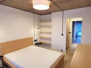 Pronájem bytu 2+kk, Praha - Braník, Ve studeném, 56 m2