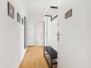 Prodej bytu 2+kk, Praha - Bubeneč, Ve struhách, 48 m2