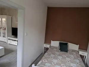 Prodej bytu 2+1, Frýdek-Místek - Frýdek, Jana Čapka, 45 m2