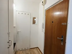 Pronájem bytu 1+1, Brno, Horácké náměstí, 44 m2