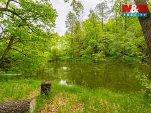 Prodej chaty, Plavsko, 30 m2