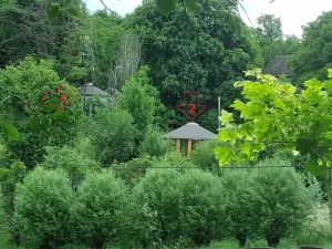 Prodej - jiné, Heřmaničky, 50 m2