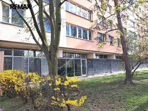 Pronájem bytu 4+kk, Praha - Nusle, Kotorská, 63 m2
