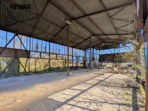 Prodej komerčního pozemku, Všestudy, 42524 m2