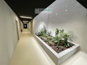 Pronájem bytu 2+kk, Plzeň - Východní Předměstí, Zahradní, 57 m2