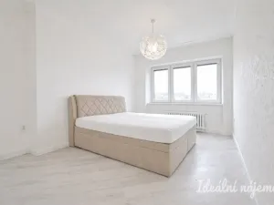 Pronájem bytu 2+1, Brno - Královo Pole, Palackého třída, 60 m2